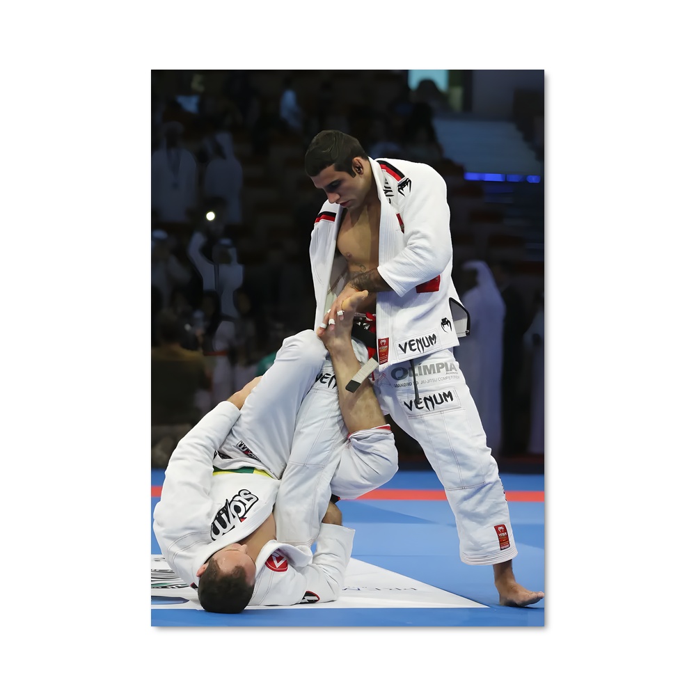 Poster Leandro combattants